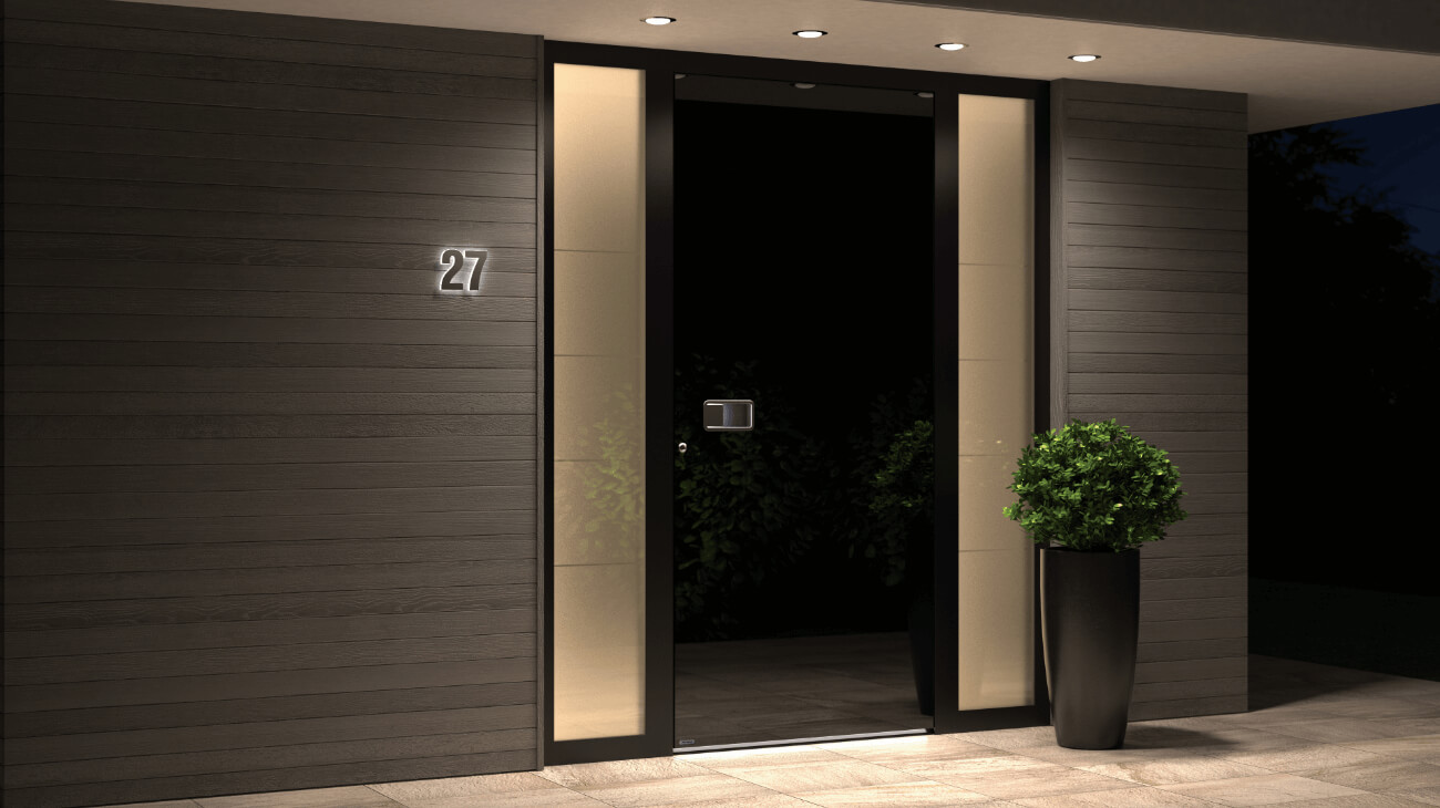 Front doors in modern style