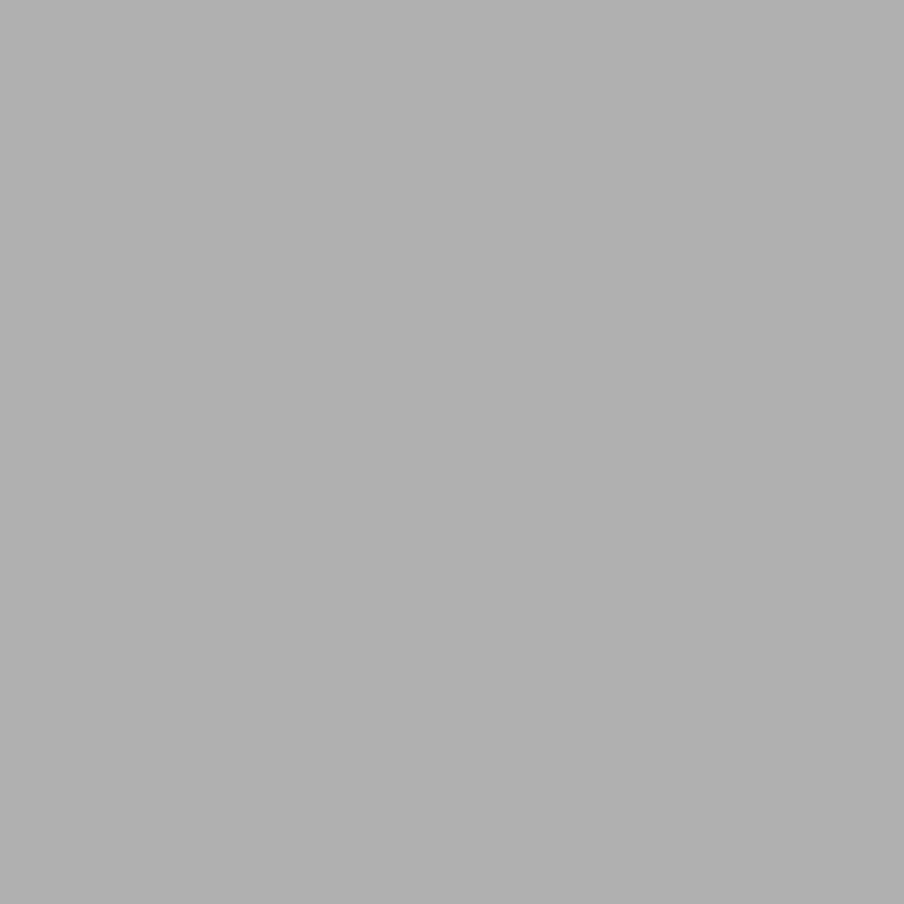Pirnar Classico 3310